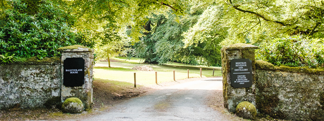 Main entrance to Ballyvolane House, home of Bertha's Revenge Gin